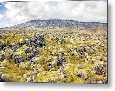 David Letts Metal Print featuring the photograph Lava Fields of Iceland by David Letts