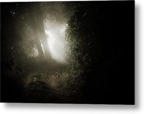 Tree Metal Print featuring the photograph Leaving The Darkness by Artfiction (andre Gehrmann)