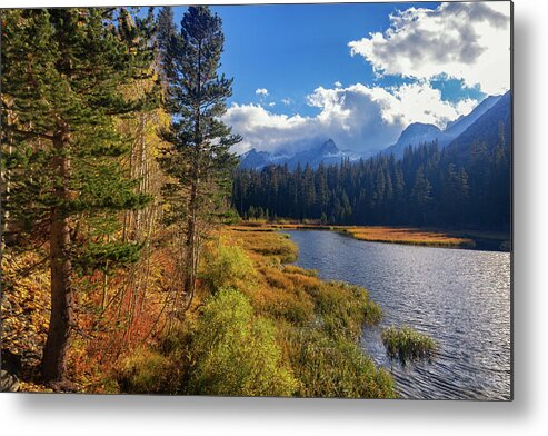 Fall Colors Metal Print featuring the photograph Legends of the Fall by Tassanee Angiolillo