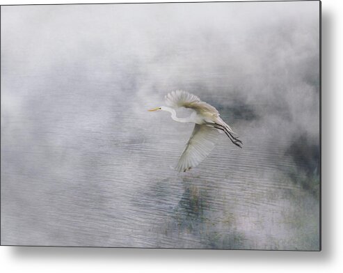 Bird Metal Print featuring the photograph Levitation by Iryna Goodall