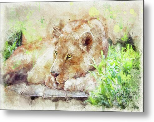 Animal Metal Print featuring the digital art Lioness by Lois Bryan