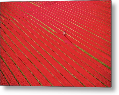 Cottage Industry Metal Print featuring the photograph Living In Red by Sikder Mesbahuddin Ahmed