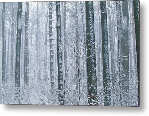 Loch Raven Metal Print featuring the photograph Loch Raven, Maryland, Usa by Tony Sweet