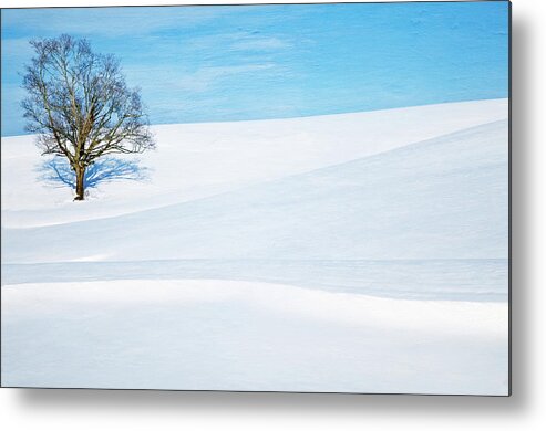 Scenics Metal Print featuring the photograph Lone Tree On Snow Mountain by Chuck Robinson Photography