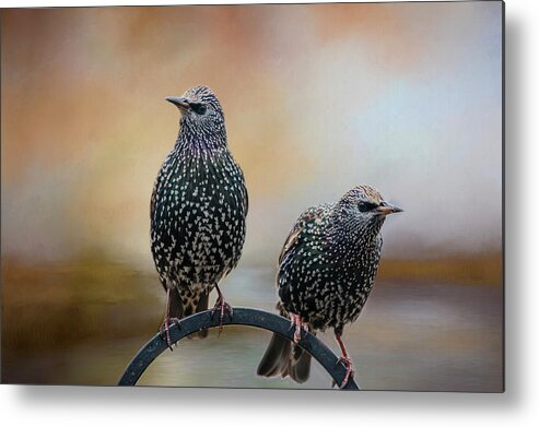 Birds Metal Print featuring the photograph Looking Out by Cathy Kovarik