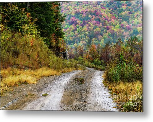 Autumn Metal Print featuring the photograph Lost in the Hills by Thomas R Fletcher