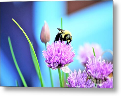 Chives Metal Print featuring the photograph Love my Chives by Merle Grenz
