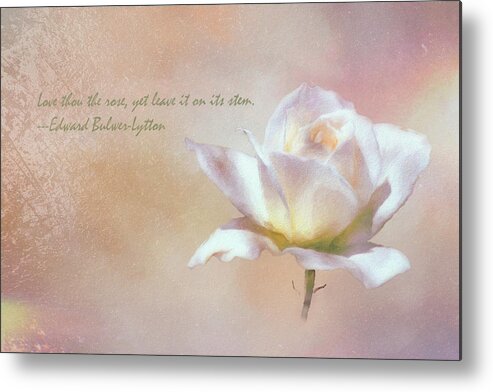 Linda Brody Metal Print featuring the digital art Love Thou the Rose by Linda Brody