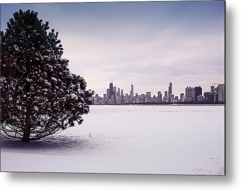 Lake Metal Print featuring the photograph Lovely Winter Chicago by Milena Ilieva