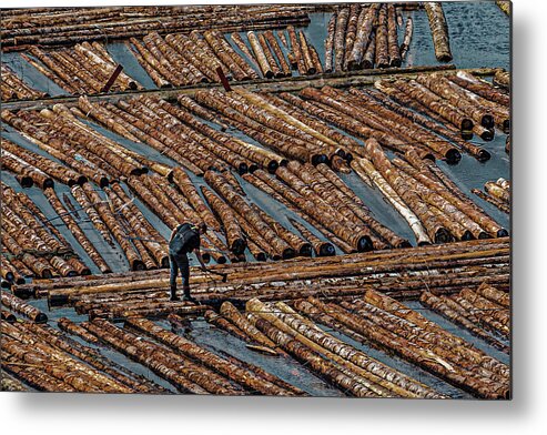 Harbor Metal Print featuring the photograph Lumber Worker with Axe by Darryl Brooks