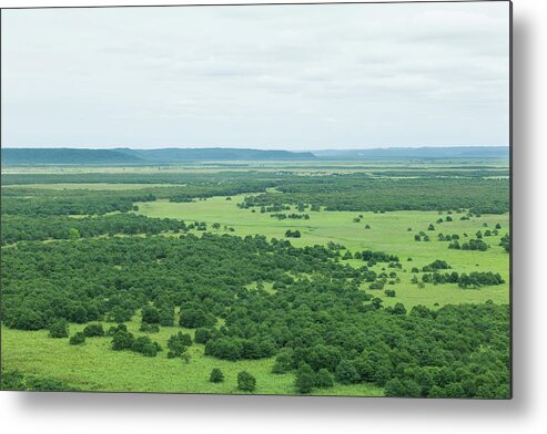 Hokkaido Metal Print featuring the photograph Lush Green Wetland Plain, Kushiro by Ippei Naoi