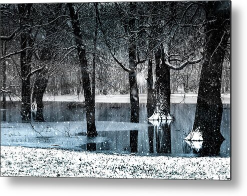 Snow Photo Metal Print featuring the photograph Magical Snow Forest by Sandra J's