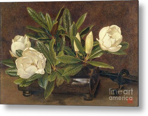 Oil Painting Metal Print featuring the drawing Magnolias, 1867-1920 by Heritage Images