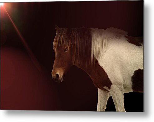 Horse Metal Print featuring the photograph Mane Event by Alison Frank