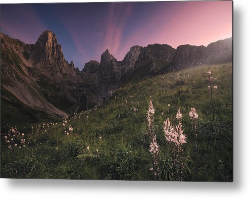 Landscape Metal Print featuring the photograph Maraa by Carlos F. Turienzo