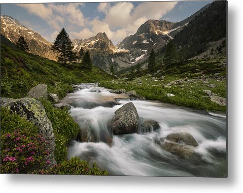Alps Metal Print featuring the photograph Maritime Alps Park by Paolo Bolla