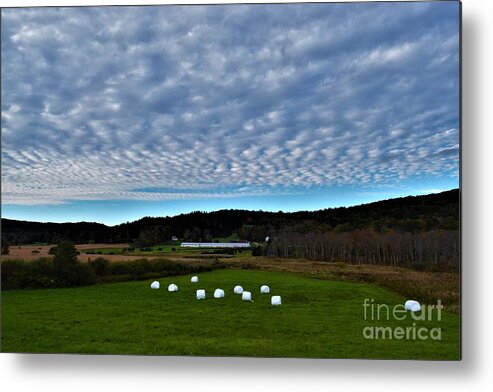 Autumn Metal Print featuring the photograph Marshmallow Field by Dani McEvoy