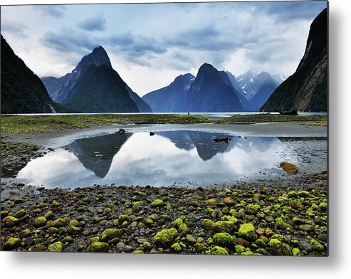 Scenics Metal Print featuring the photograph Milford Sound by Raimund Linke
