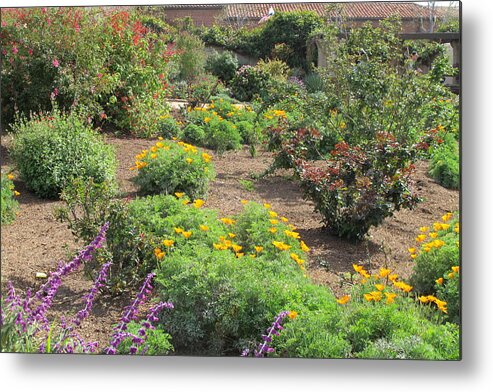 Garden Metal Print featuring the photograph Mission Garden by Laura Smith