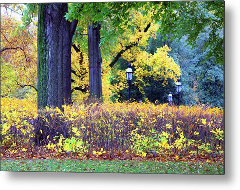 Autumn Metal Print featuring the photograph Missouri Botanical Garden by John Lautermilch
