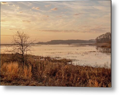 Bombay Hook Metal Print featuring the photograph Morning At Boombay Hook by Kristia Adams