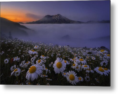 Morning Metal Print featuring the photograph Morning Mist by Lydia Jacobs