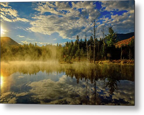 Prsri Metal Print featuring the photograph Morning Mist, Wildlife Pond by Jeff Sinon