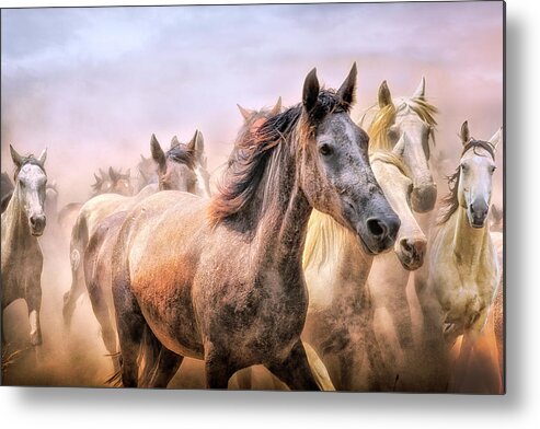 Horse Metal Print featuring the photograph Morning Wildfire by Debra and Dave Vanderlaan
