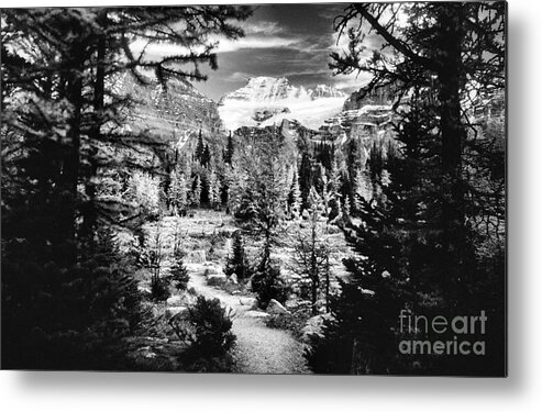 Fine Art Black And White Metal Print featuring the photograph Mount Fay from Larch Valley Trail by Steve Ember