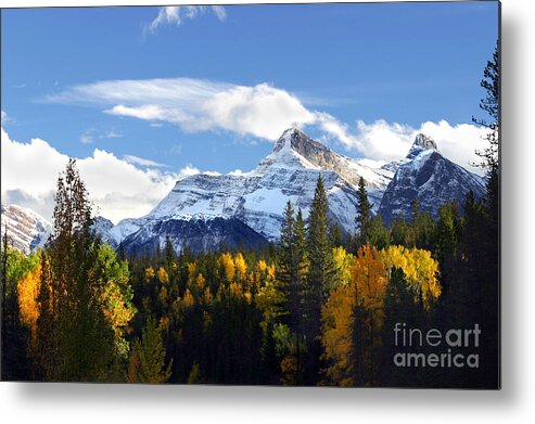 Snowcapped Metal Print featuring the photograph Mount Fryatt second tallest mountain Jasper National Park Alberta Canada by Robert C Paulson Jr
