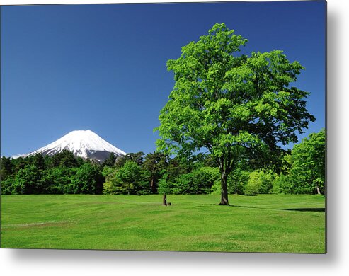 Scenics Metal Print featuring the photograph Mount Fuji And Fresh Green Of Early by Takeshi.k