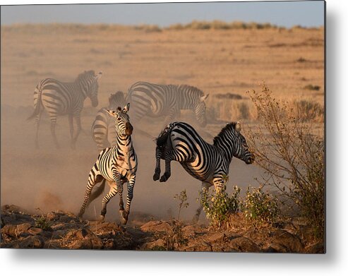 Kenya Metal Print featuring the photograph Move Off by Muriel Vekemans