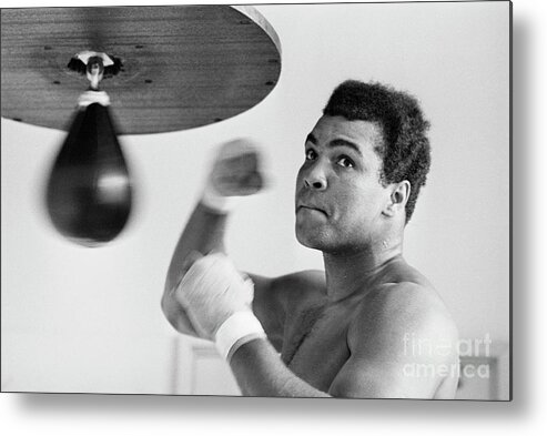 Muhammad Ali - Boxer - Born 1942 Metal Print featuring the photograph Muhammad Ali Punching Bag by Bettmann