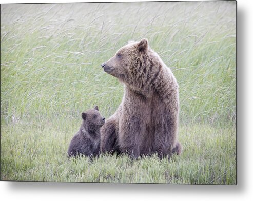 Coastal Brown Bear Metal Print featuring the photograph My Mom - My Best Friend by Renee Doyle