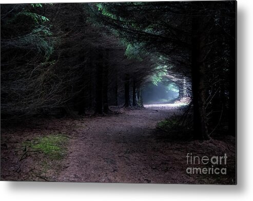 Wood Metal Print featuring the photograph Narrow Path Through Foggy Mysterious Forest by Andreas Berthold