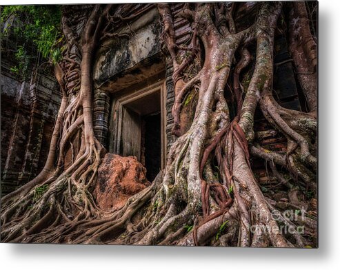Cambodian Culture Metal Print featuring the photograph Nature Always Wins by Dan Montalbano