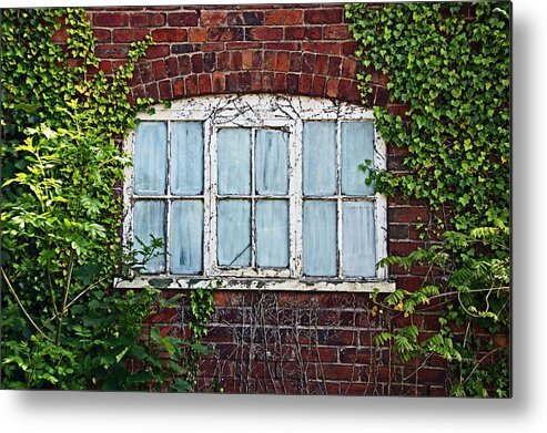 Wirral Metal Print featuring the photograph Ness Gardens. Window. by Lachlan Main