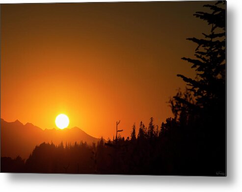 Deebrowningphotography.com Metal Print featuring the photograph New Day Rising by Dee Browning