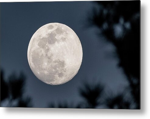 Full Metal Print featuring the photograph Night Light by Donna Twiford