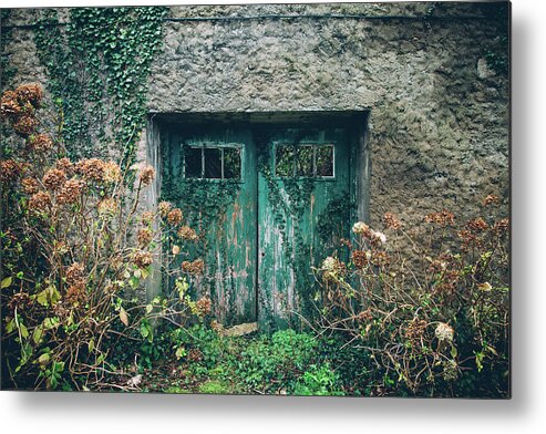 Grass Metal Print featuring the photograph Old Aquamarine Door by Asife