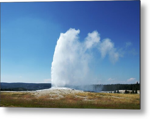 Geyser Metal Print featuring the photograph Old Faithful Erupting Under A Blue Sky by Tmarvin