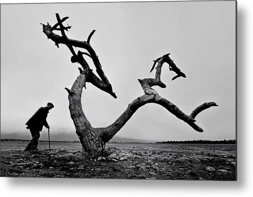 China Metal Print featuring the photograph Old Man And Tree by Wei Tang