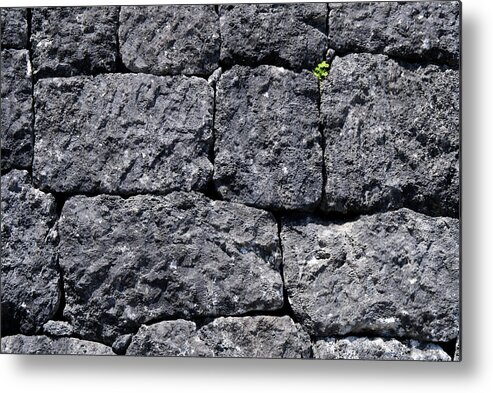 Castle Ruins Metal Print featuring the photograph Old World Craftsmanship by Eric Hafner