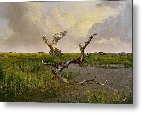 Bird Metal Print featuring the digital art Old World Kestrel at Dawn by M Spadecaller