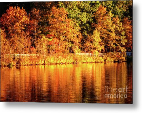 Bruce Freeman Rail Trail Metal Print featuring the photograph On Golden Pond by Anita Pollak
