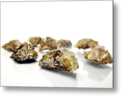 Oyster Metal Print featuring the photograph Oysters In Their Shells by Garysludden