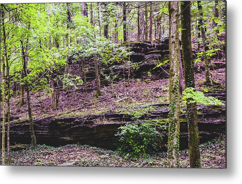 Photograph Metal Print featuring the photograph Ozark Walk with Red Hue by Kelly Thackeray