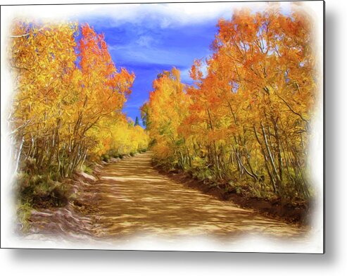 Aspens Metal Print featuring the photograph Painted Aspens by Steph Gabler