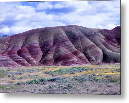 Painted Hills Metal Print featuring the photograph Painted Hills 5 by Rick Pisio