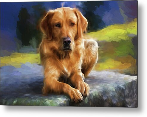 Dog Metal Print featuring the painting Painting of a Golden Retriever by Doreen Erhardt